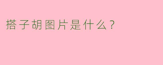 搭子胡图片是什么？  