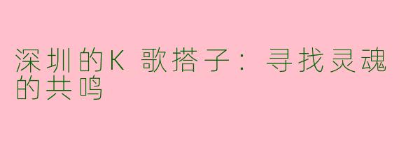 深圳的K歌搭子:寻找灵魂的共鸣