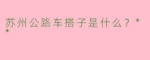 苏州公路车搭子是什么？**