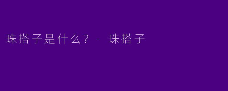 珠搭子是什么?