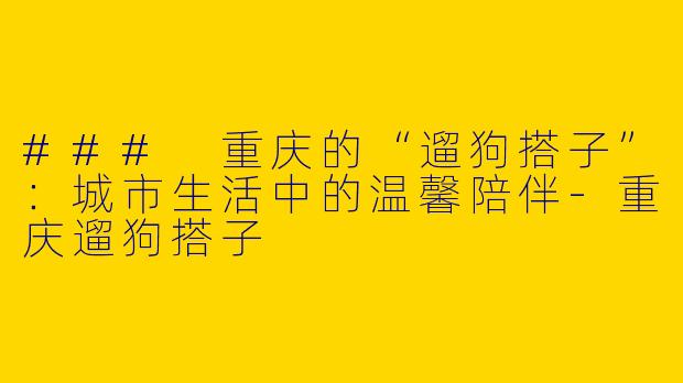 ### 重庆的“遛狗搭子”：城市生活中的温馨陪伴-重庆遛狗搭子