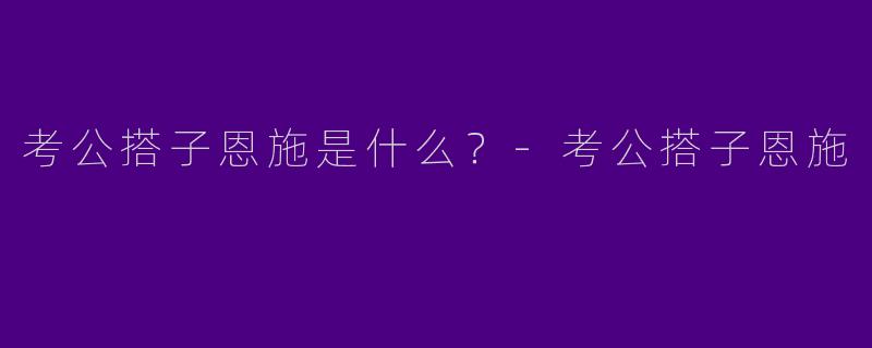 考公搭子恩施是什么？-考公搭子恩施
