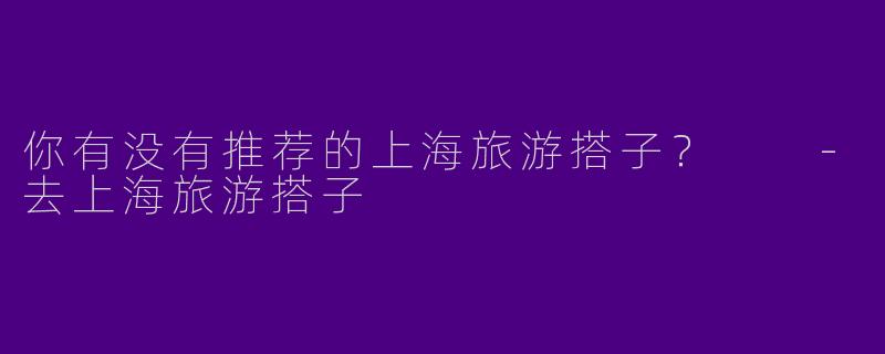 你有没有推荐的上海旅游搭子？  