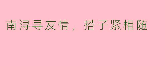 南浔寻友情,搭子紧相随