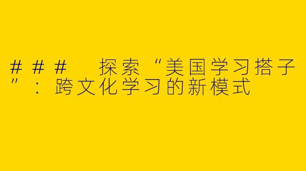 ### 探索“美国学习搭子”：跨文化学习的新模式