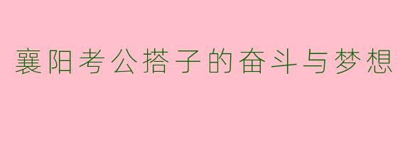 襄阳考公搭子的奋斗与梦想