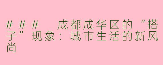 ### 成都成华区的“搭子”现象:城市生活的新风尚