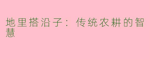 地里搭沿子：传统农耕的智慧