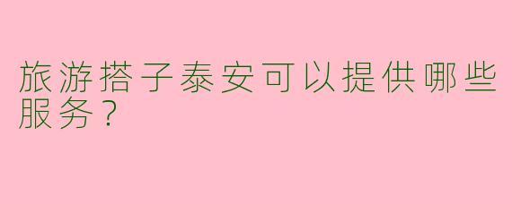 旅游搭子泰安可以提供哪些服务？