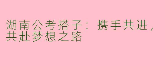 湖南公考搭子：携手共进，共赴梦想之路