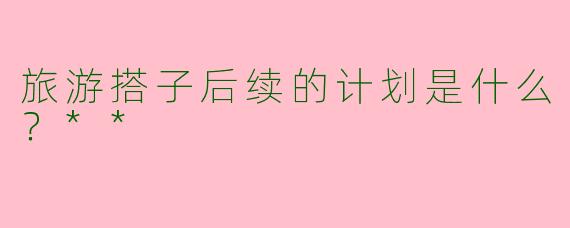 旅游搭子后续的计划是什么？**