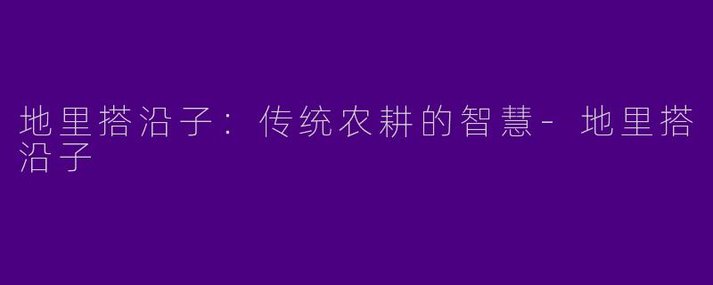 地里搭沿子：传统农耕的智慧-地里搭沿子