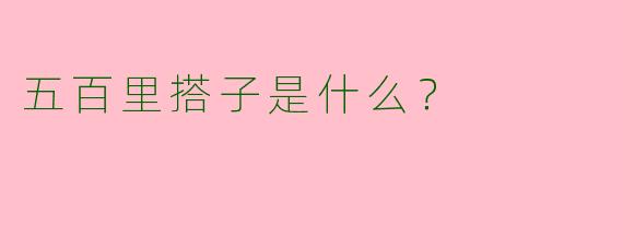 五百里搭子是什么？