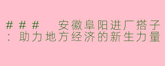 ### 安徽阜阳进厂搭子：助力地方经济的新生力量