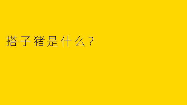 搭子猪是什么?