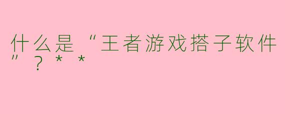 什么是“王者游戏搭子软件”？**