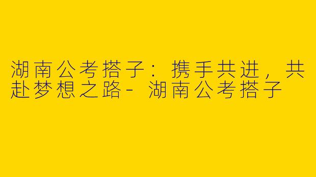 湖南公考搭子:携手共进,共赴梦想之路