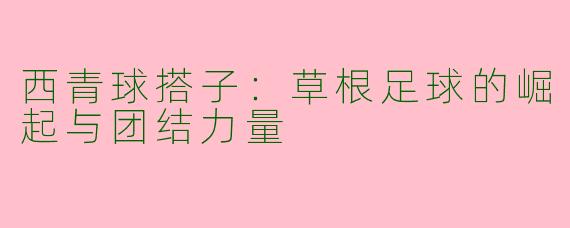 西青球搭子：草根足球的崛起与团结力量