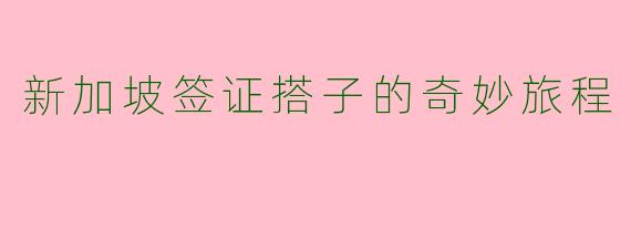 新加坡签证搭子的奇妙旅程