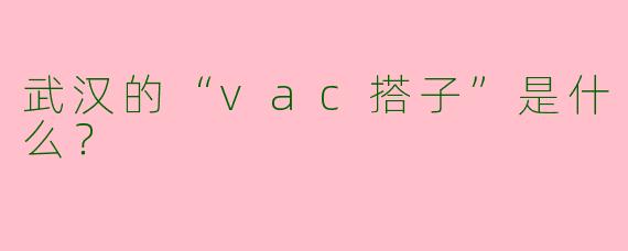 武汉的“vac搭子”是什么?