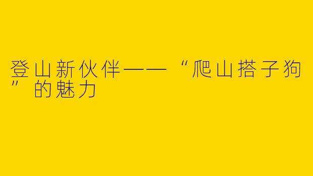 登山新伙伴——“爬山搭子狗”的魅力