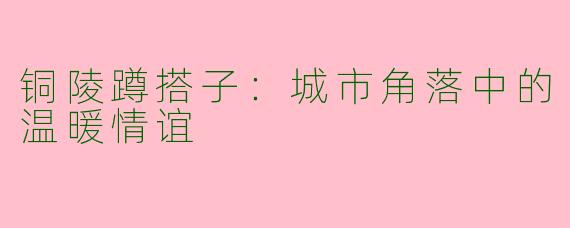 铜陵蹲搭子：城市角落中的温暖情谊