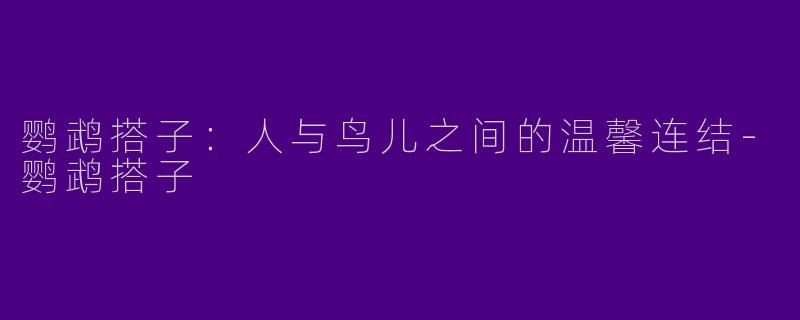 鹦鹉搭子：人与鸟儿之间的温馨连结