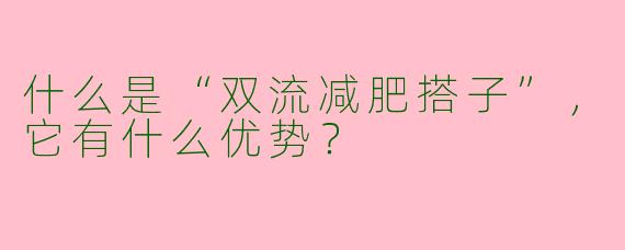 什么是“双流减肥搭子”,它有什么优势?