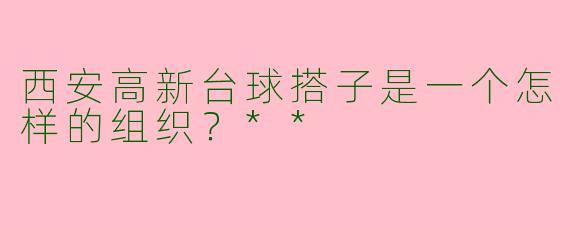 西安高新台球搭子是一个怎样的组织?**