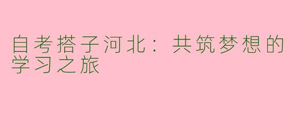 自考搭子河北：共筑梦想的学习之旅