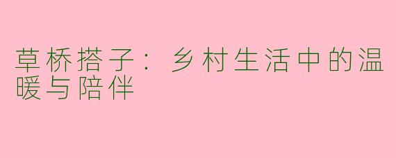草桥搭子：乡村生活中的温暖与陪伴