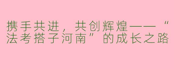 携手共进，共创辉煌——“法考搭子河南”的成长之路