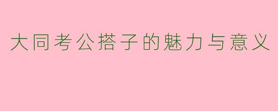 大同考公搭子的魅力与意义