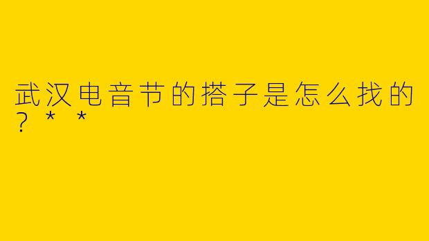 武汉电音节的搭子是怎么找的？**  