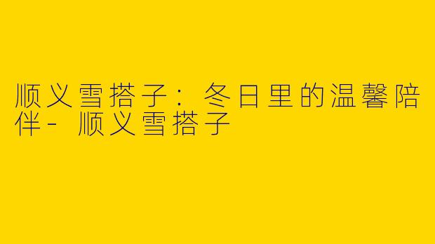 顺义雪搭子：冬日里的温馨陪伴-顺义雪搭子