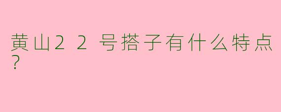 黄山22号搭子有什么特点？  