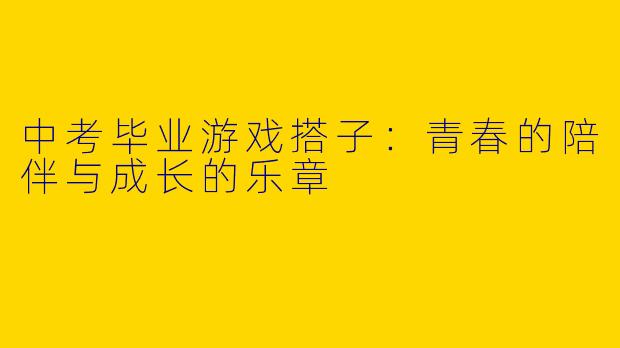 中考毕业游戏搭子：青春的陪伴与成长的乐章