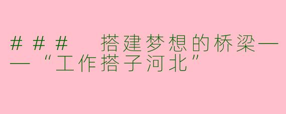 ### 搭建梦想的桥梁——“工作搭子河北”