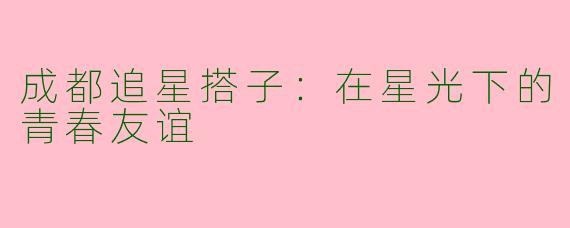 成都追星搭子:在星光下的青春友谊