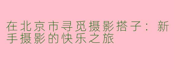 在北京市寻觅摄影搭子：新手摄影的快乐之旅