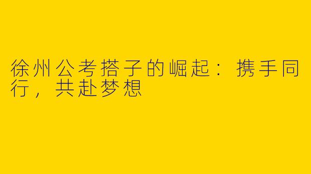 徐州公考搭子的崛起：携手同行，共赴梦想