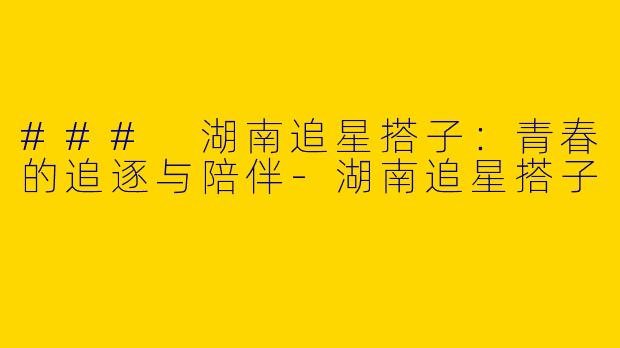 ### 湖南追星搭子：青春的追逐与陪伴