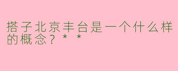搭子北京丰台是一个什么样的概念？**
