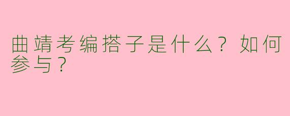 曲靖考编搭子是什么？如何参与？