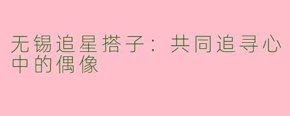 无锡追星搭子：共同追寻心中的偶像