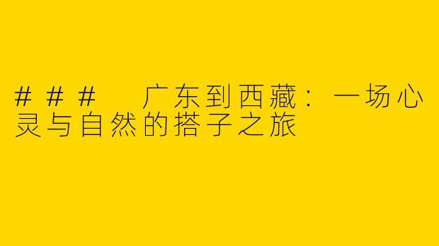 ### 广东到西藏：一场心灵与自然的搭子之旅