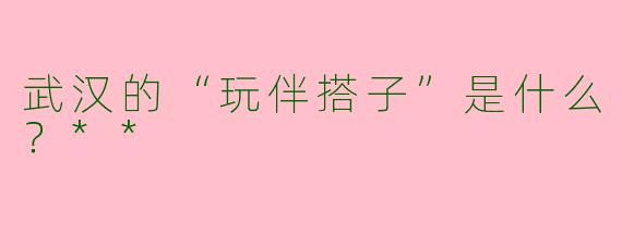 武汉的“玩伴搭子”是什么？**