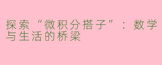 探索“微积分搭子”：数学与生活的桥梁
