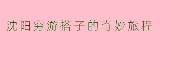 沈阳穷游搭子的奇妙旅程
