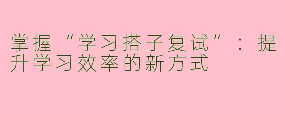 掌握“学习搭子复试”：提升学习效率的新方式